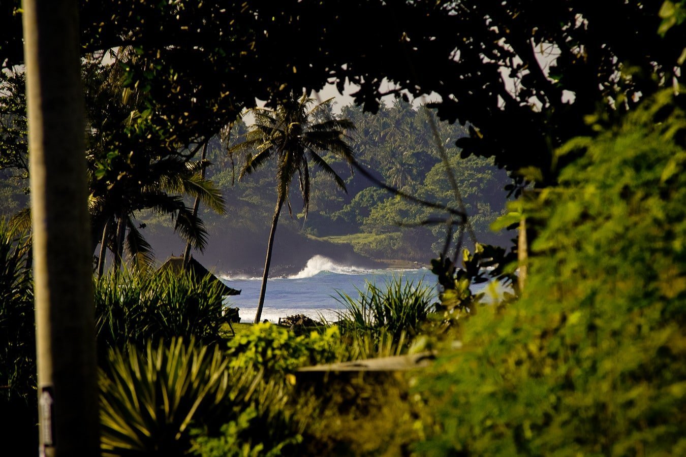 The impact of surfing on the local economy of Indonesia