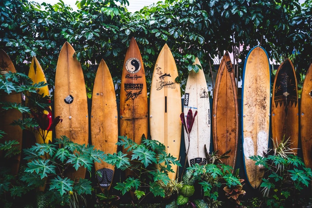 History of Surf: the origin of Surf