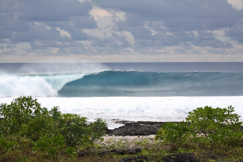 Asu Camp Surf Club
