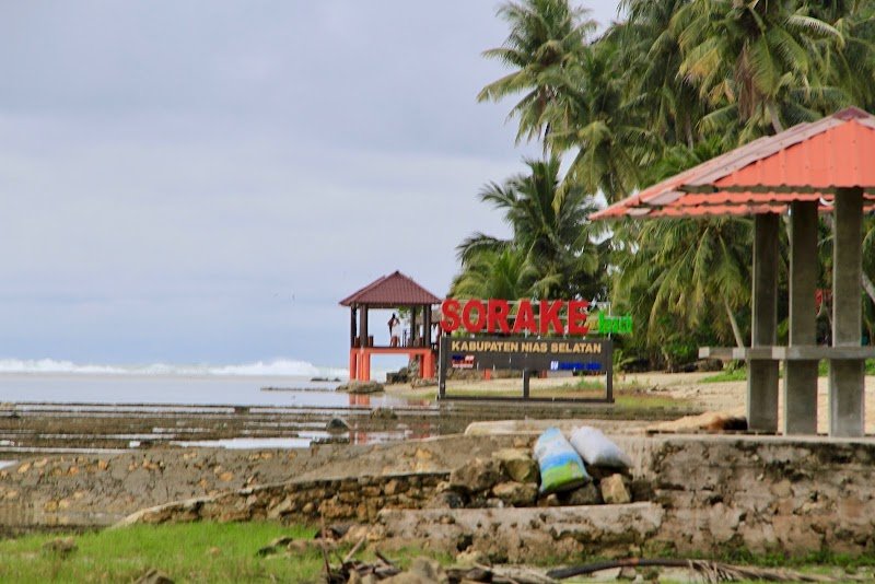 Pleasure Surfcamp