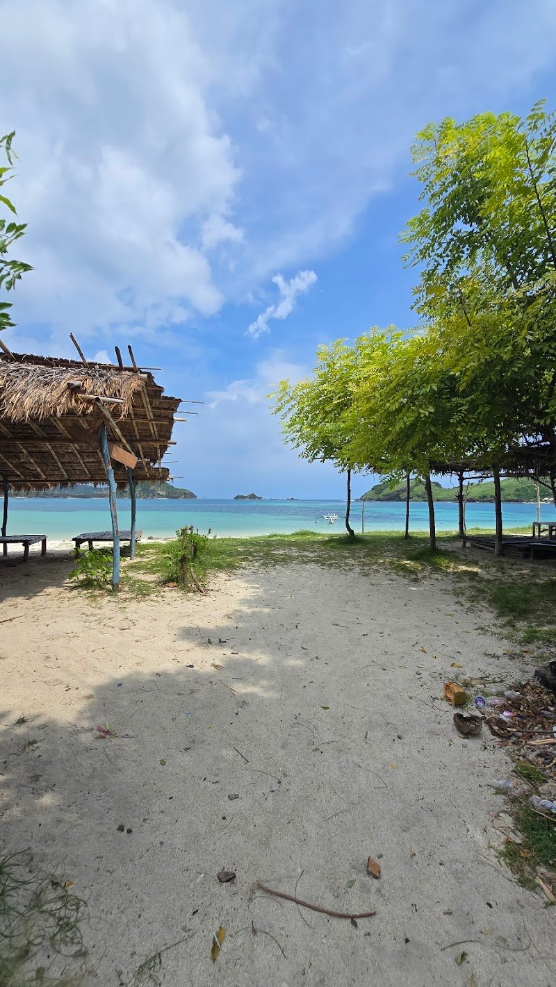 Beaches Lyfe Surf Club